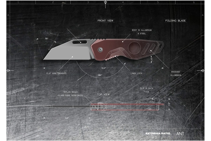 ANT